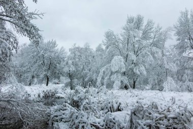 Bulgaristan 'ın Sofya kentindeki South Park' ın şaşırtıcı kış manzarası