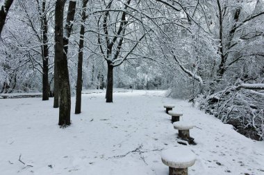 Bulgaristan 'ın Sofya kentindeki South Park' ın şaşırtıcı kış manzarası