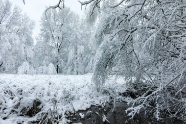 Bulgaristan 'ın Sofya kentindeki South Park' ın şaşırtıcı kış manzarası