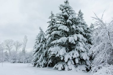 Bulgaristan 'ın Sofya kentindeki South Park' ın şaşırtıcı kış manzarası