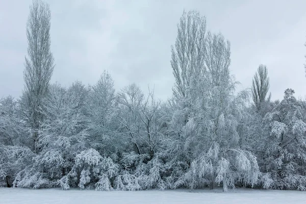 Amazing Winter Landschap Van South Park Stad Sofia Bulgarije — Stockfoto