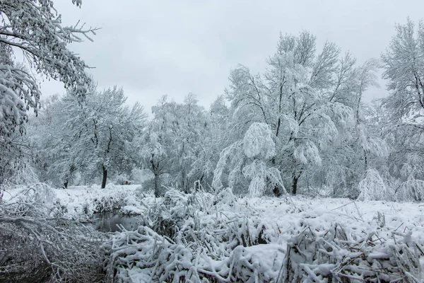 Bulgaristan 'ın Sofya kentindeki South Park' ın şaşırtıcı kış manzarası