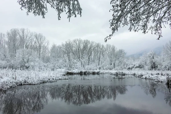 Bulgaristan 'ın Sofya kentindeki South Park' ın şaşırtıcı kış manzarası
