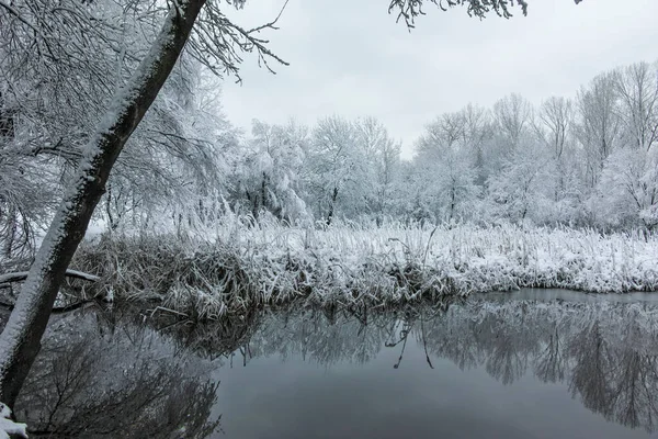 Bulgaristan 'ın Sofya kentindeki South Park' ın şaşırtıcı kış manzarası