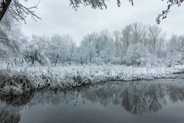 Paisagem Inverno Incrível South Park Cidade Sofia Bulgária — Fotografia de Stock