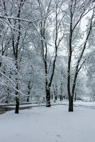 Bulgaristan 'ın Sofya kentindeki South Park' ın şaşırtıcı kış manzarası