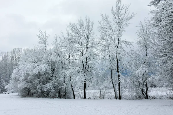 Amazing Winter Landschap Van South Park Stad Sofia Bulgarije — Stockfoto