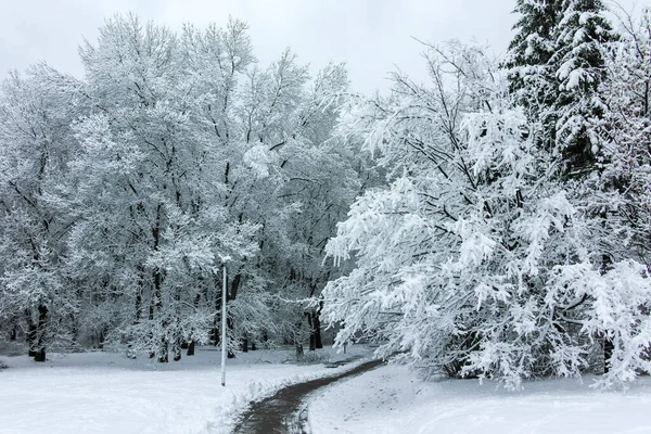 Amazing Winter Landscape South Park City Sofia Bulgaria — Stock Photo, Image