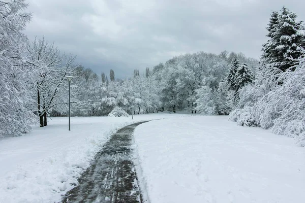 Bulgaristan 'ın Sofya kentindeki South Park' ın şaşırtıcı kış manzarası