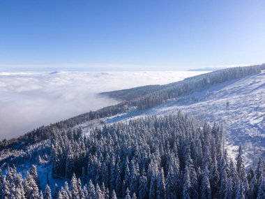 Bulgaristan 'ın Sofya Şehir Bölgesi, Vitosha Dağı' nın Hava Kış Manzarası