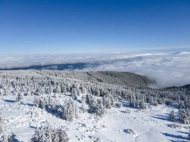 Bulgaristan 'ın Sofya Şehir Bölgesi, Vitosha Dağı' nın Hava Kış Manzarası