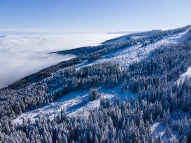 Bulgaristan 'ın Sofya Şehir Bölgesi, Vitosha Dağı' nın Hava Kış Manzarası