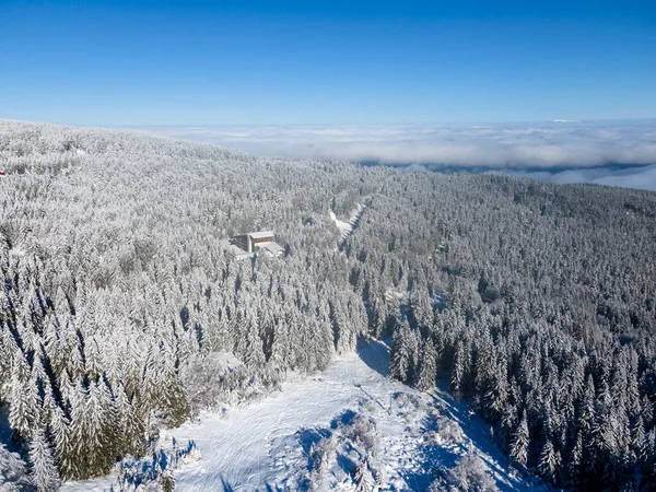 Zimowy Widok Lotu Ptaka Górę Vitosha Obwód Sofijski Bułgaria — Zdjęcie stockowe