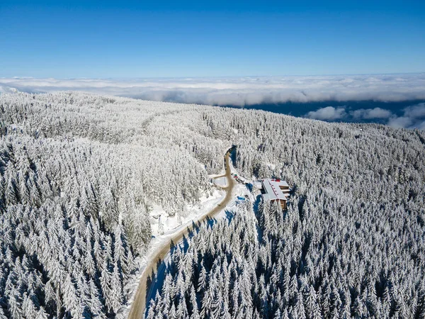 Bulgaristan 'ın Sofya Şehir Bölgesi, Vitosha Dağı' nın Hava Kış Manzarası