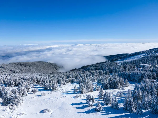 Aerial Winter View Vitosha Mountain Sofia City Region Bulgaria Royalty Free Stock Photos