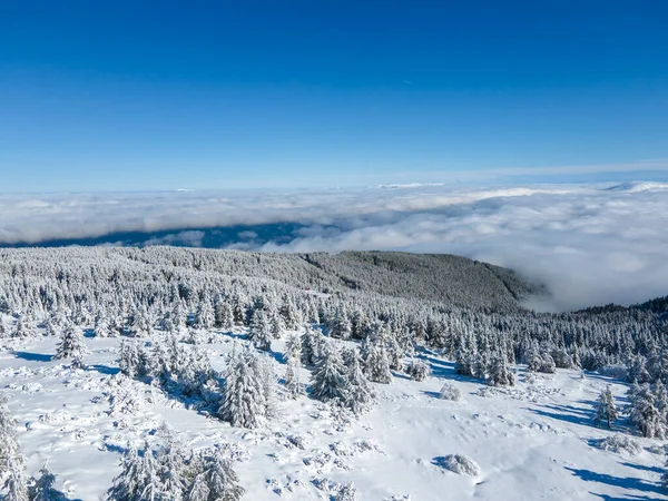 Aerial Winter View Vitosha Mountain Sofia City Region Bulgaria Royalty Free Stock Photos