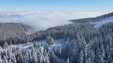 Bulgaristan 'ın Sofya Şehir Bölgesi, Vitosha Dağı' nın Hava Kış Manzarası