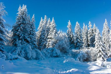 Bulgaristan 'ın Sofya Şehir Bölgesi, Vitosha Dağı' nın İnanılmaz Kış manzarası