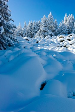 Bulgaristan 'ın Sofya Şehir Bölgesi, Vitosha Dağı' nın İnanılmaz Kış manzarası