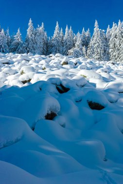 Bulgaristan 'ın Sofya Şehir Bölgesi, Vitosha Dağı' nın İnanılmaz Kış manzarası