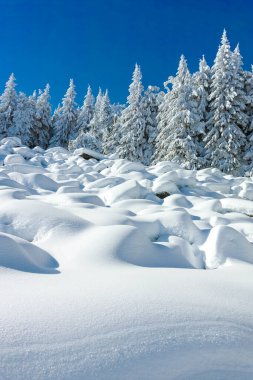 Bulgaristan 'ın Sofya Şehir Bölgesi, Vitosha Dağı' nın İnanılmaz Kış manzarası