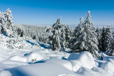 Bulgaristan 'ın Sofya Şehir Bölgesi, Vitosha Dağı' nın İnanılmaz Kış manzarası