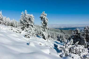 Bulgaristan 'ın Sofya Şehir Bölgesi, Vitosha Dağı' nın İnanılmaz Kış manzarası