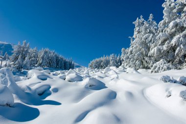 Bulgaristan 'ın Sofya Şehir Bölgesi, Vitosha Dağı' nın İnanılmaz Kış manzarası
