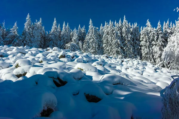 Niesamowity Zimowy Krajobraz Góry Vitosha Obwód Sofijski Bułgaria — Zdjęcie stockowe