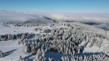 Bulgaristan 'ın Sofya Şehir Bölgesi, Vitosha Dağı' nın Hava Kış Manzarası