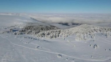 Bulgaristan 'ın Sofya Şehir Bölgesi, Vitosha Dağı' nın Hava Kış Manzarası