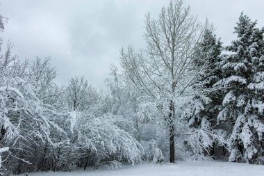 Bulgaristan 'ın Sofya kentindeki South Park' ın şaşırtıcı kış manzarası