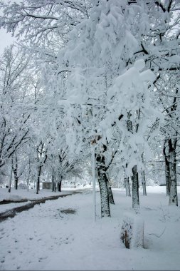 Bulgaristan 'ın Sofya kentindeki South Park' ın şaşırtıcı kış manzarası