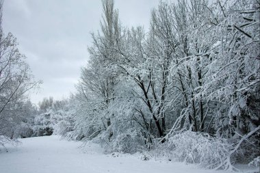 Bulgaristan 'ın Sofya kentindeki South Park' ın şaşırtıcı kış manzarası