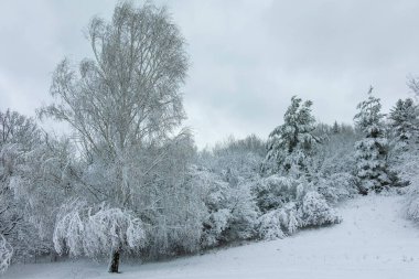 Bulgaristan 'ın Sofya kentindeki South Park' ın şaşırtıcı kış manzarası