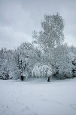 Bulgaristan 'ın Sofya kentindeki South Park' ın şaşırtıcı kış manzarası