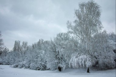 Bulgaristan 'ın Sofya kentindeki South Park' ın şaşırtıcı kış manzarası