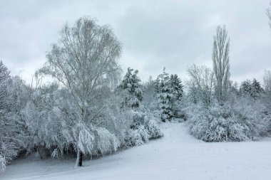 Bulgaristan 'ın Sofya kentindeki South Park' ın şaşırtıcı kış manzarası