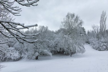 Bulgaristan 'ın Sofya kentindeki South Park' ın şaşırtıcı kış manzarası