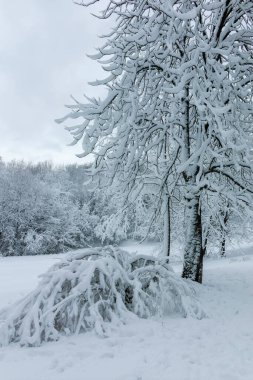 Bulgaristan 'ın Sofya kentindeki South Park' ın şaşırtıcı kış manzarası