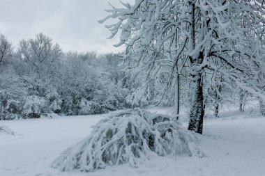 Bulgaristan 'ın Sofya kentindeki South Park' ın şaşırtıcı kış manzarası