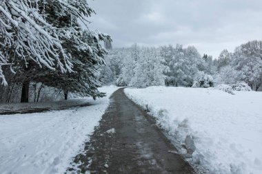 Bulgaristan 'ın Sofya kentindeki South Park' ın şaşırtıcı kış manzarası