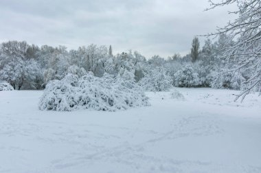 Bulgaristan 'ın Sofya kentindeki South Park' ın şaşırtıcı kış manzarası