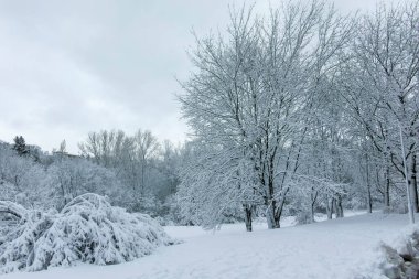 Bulgaristan 'ın Sofya kentindeki South Park' ın şaşırtıcı kış manzarası