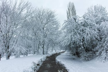 Bulgaristan 'ın Sofya kentindeki South Park' ın şaşırtıcı kış manzarası