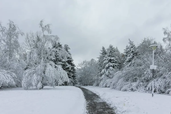 Paisagem Inverno Incrível South Park Cidade Sofia Bulgária — Fotografia de Stock