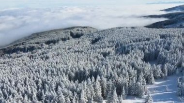 Bulgaristan 'ın Sofya Şehir Bölgesi, Vitosha Dağı' nın Hava Kış Manzarası