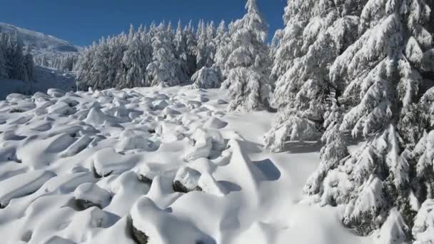 Pemandangan Musim Dingin Udara Gunung Vitosha Wilayah Kota Sofia Bulgaria — Stok Video