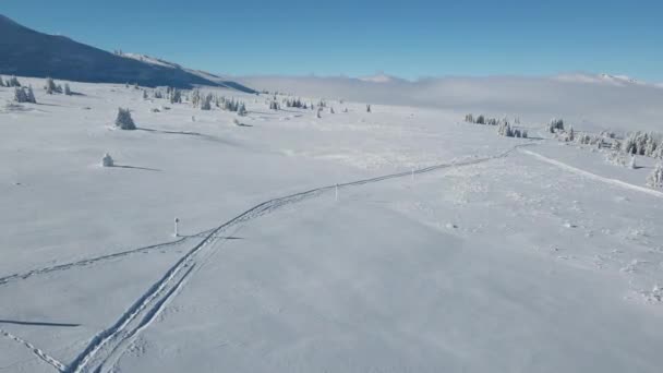 Vista Aérea Inverno Montanha Vitosha Região Cidade Sofia Bulgária — Vídeo de Stock