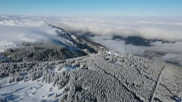 Luchtfoto Winter Uitzicht Vitosha Mountain Sofia City Region Bulgarije — Stockvideo